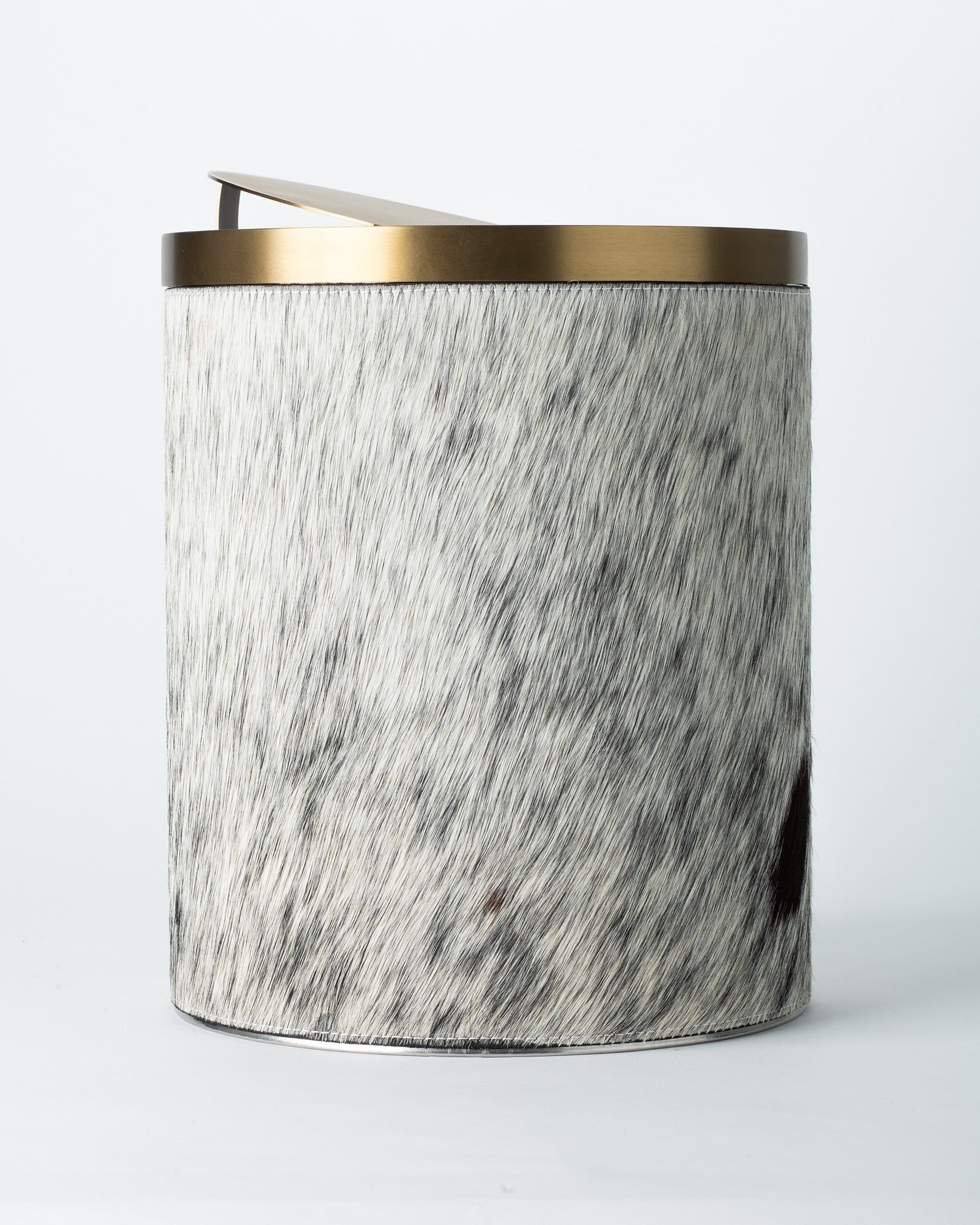 Brindled Mane Trash Bin
