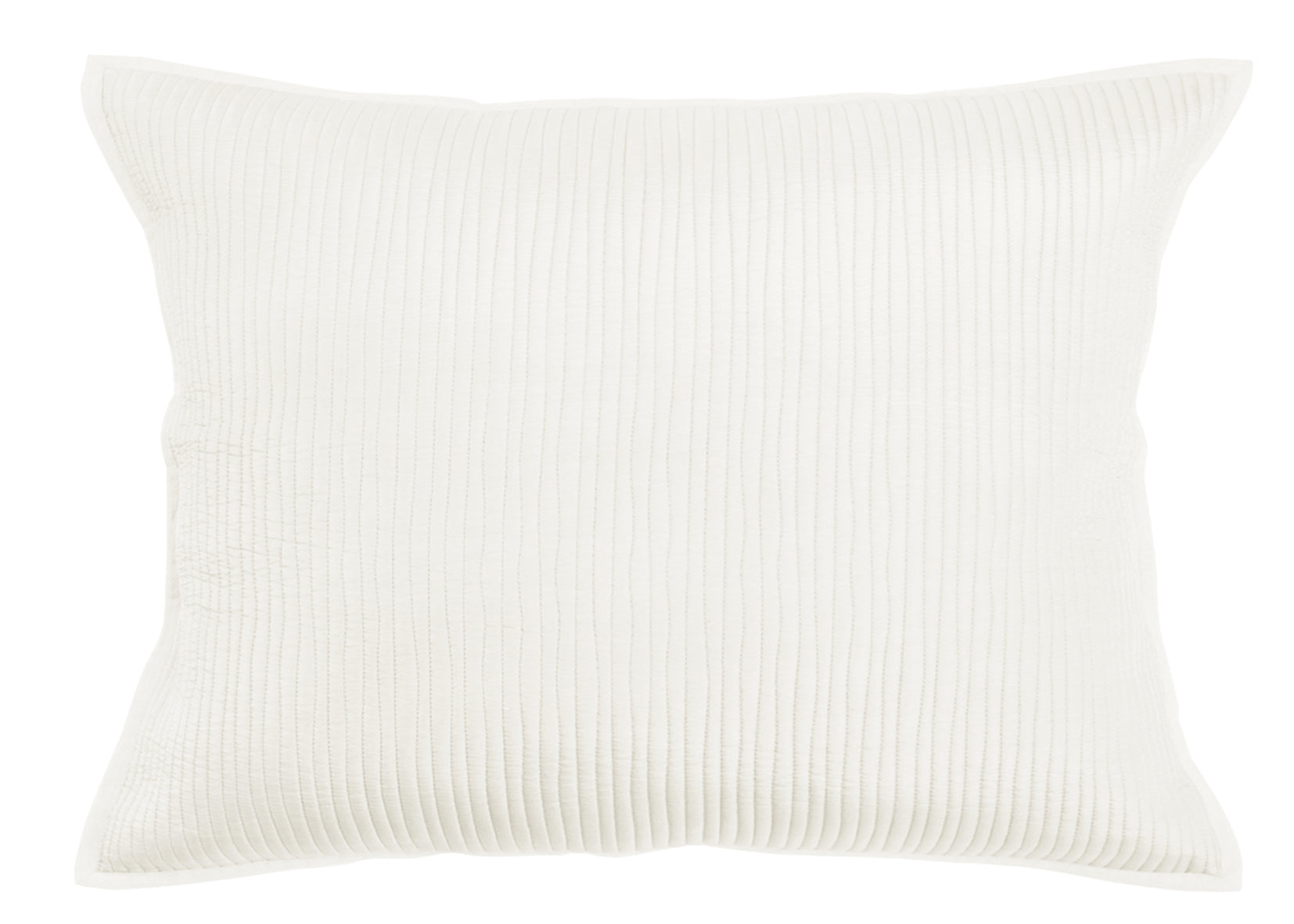 COLE STANDARD SHAM CREAM