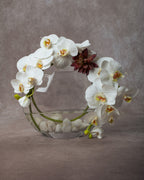 Cora - White