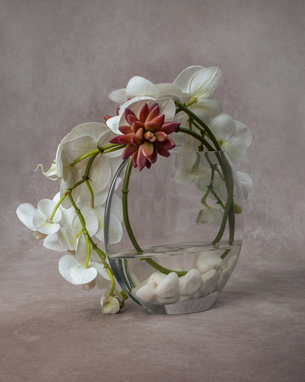 Cora - White
