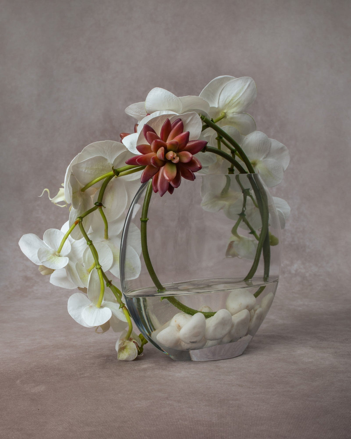 Cora - White