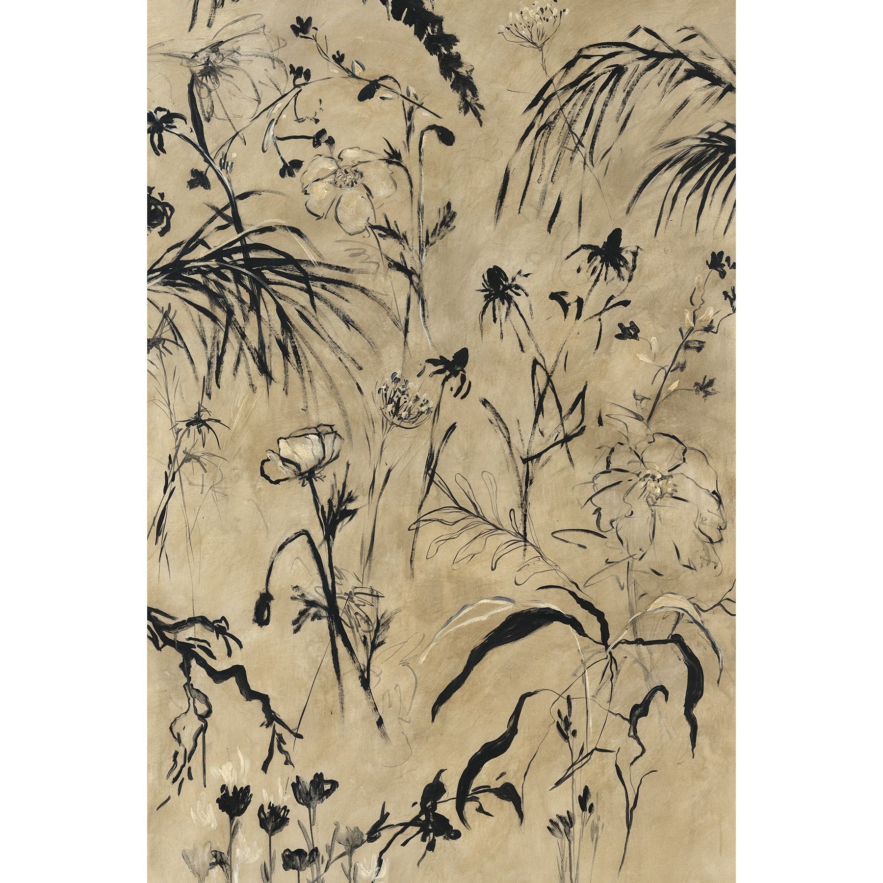 COLDEN’S GARDEN I