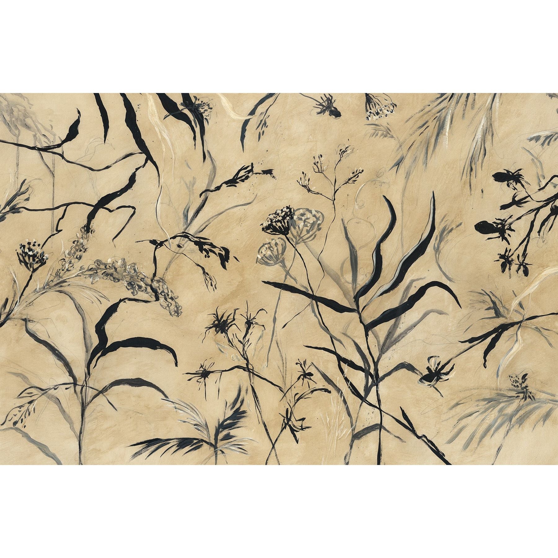 COLDEN'S GARDEN II