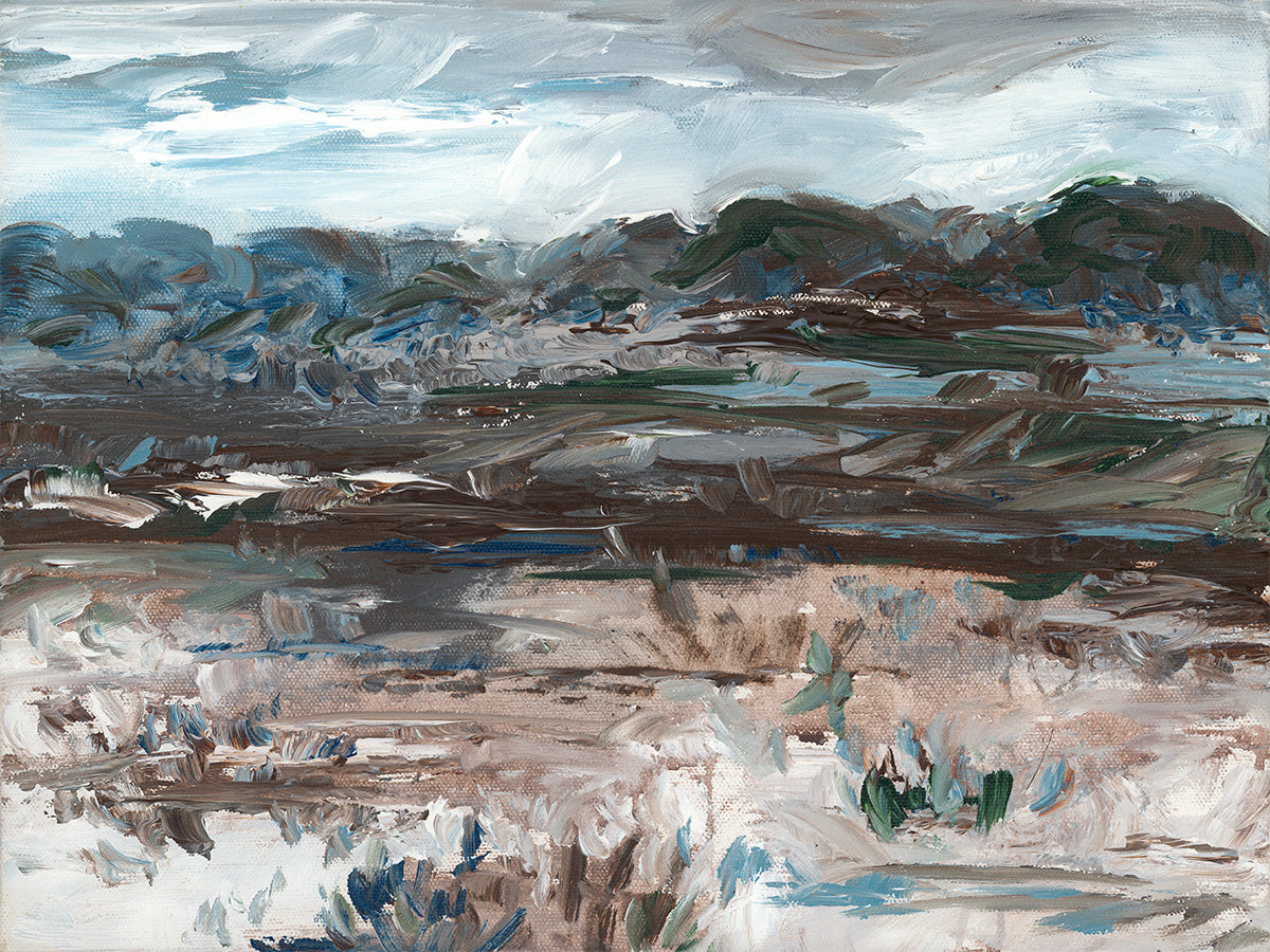 LANDSCAPE 43