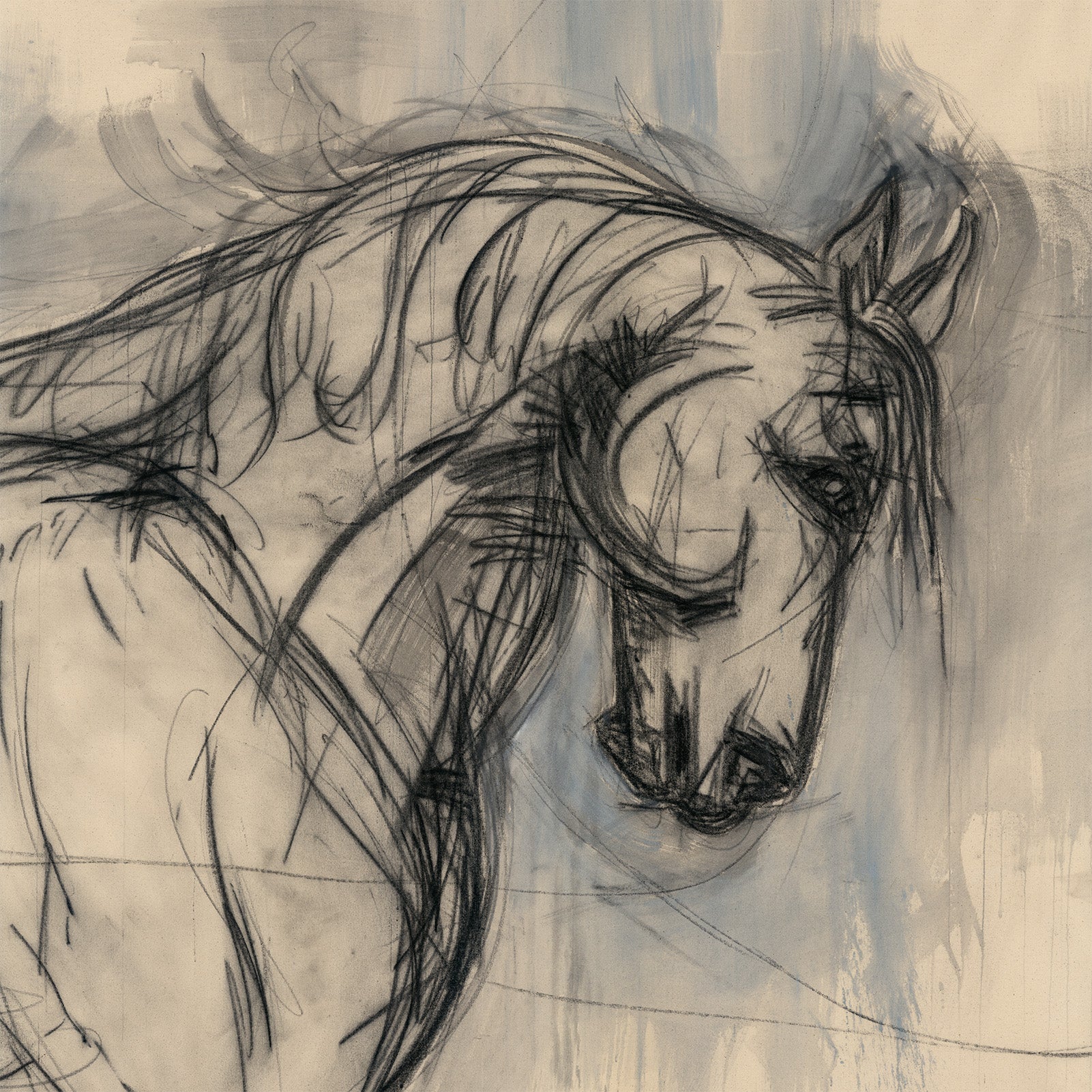 DARK HORSE