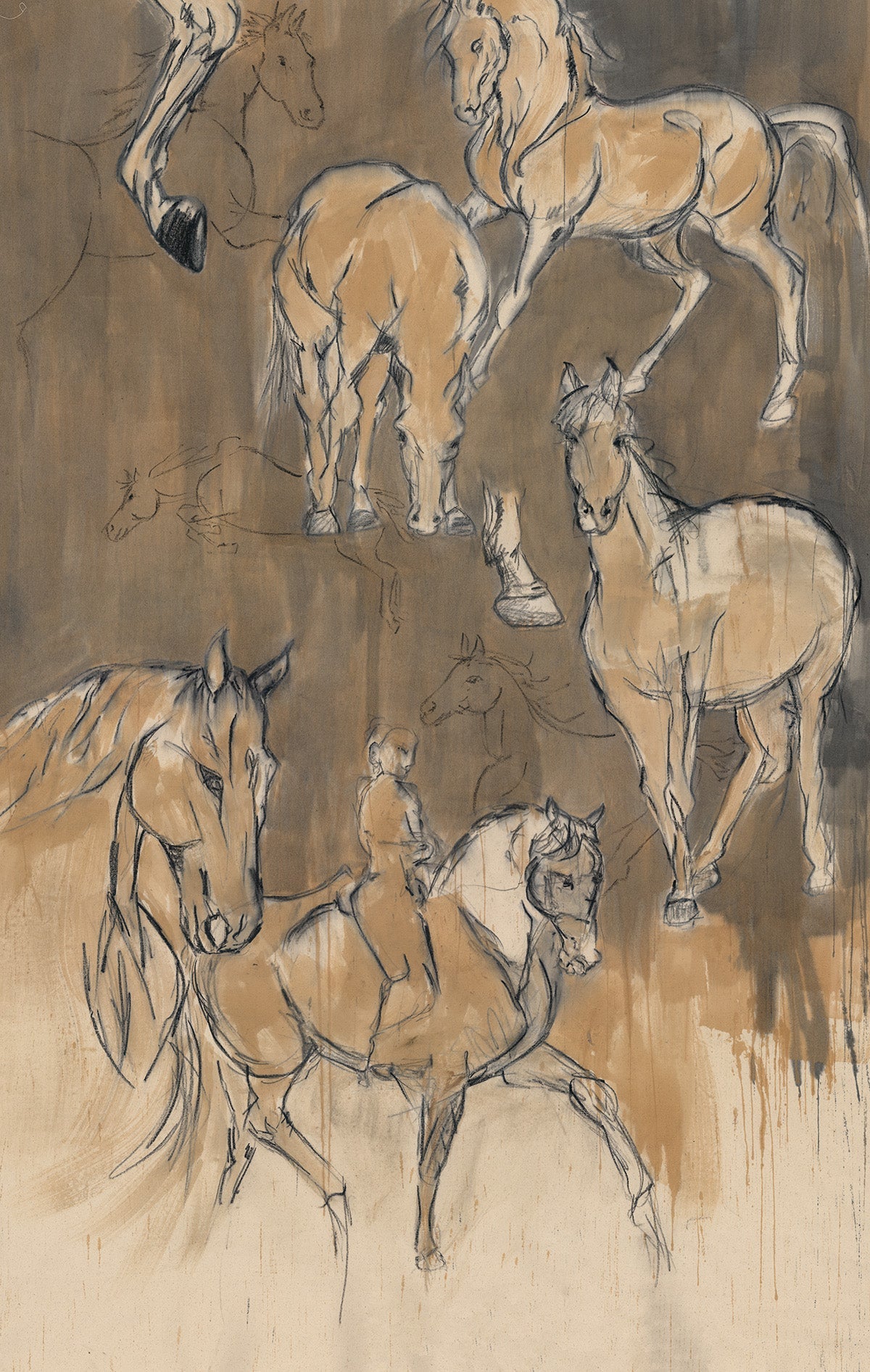 EQUESTRIAN STUDIES I