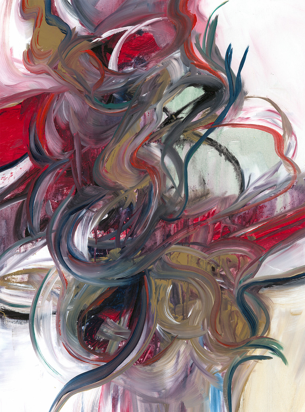 THE HUMMINGBIRDS PATH