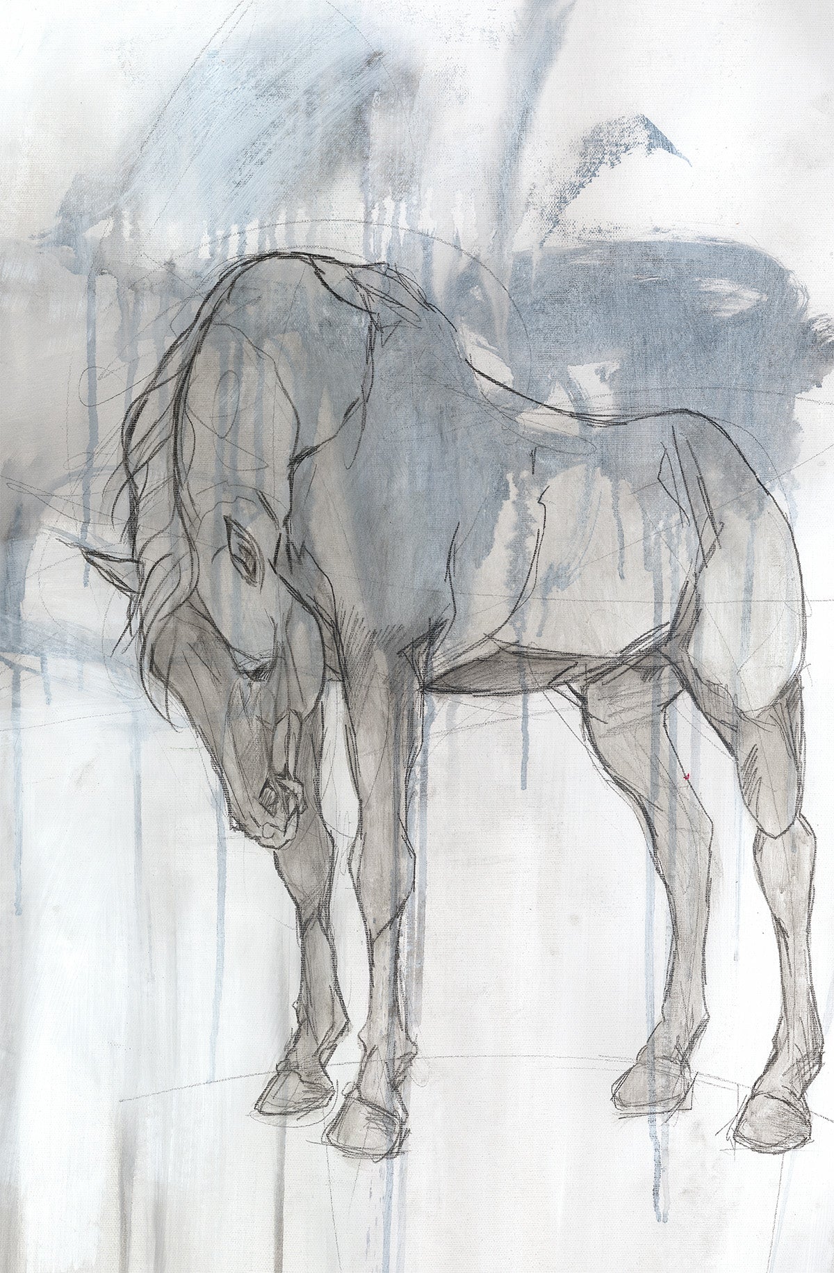 EQUESTRIAN STUDIES II