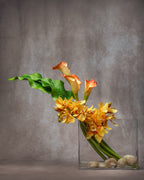 Saffron - White