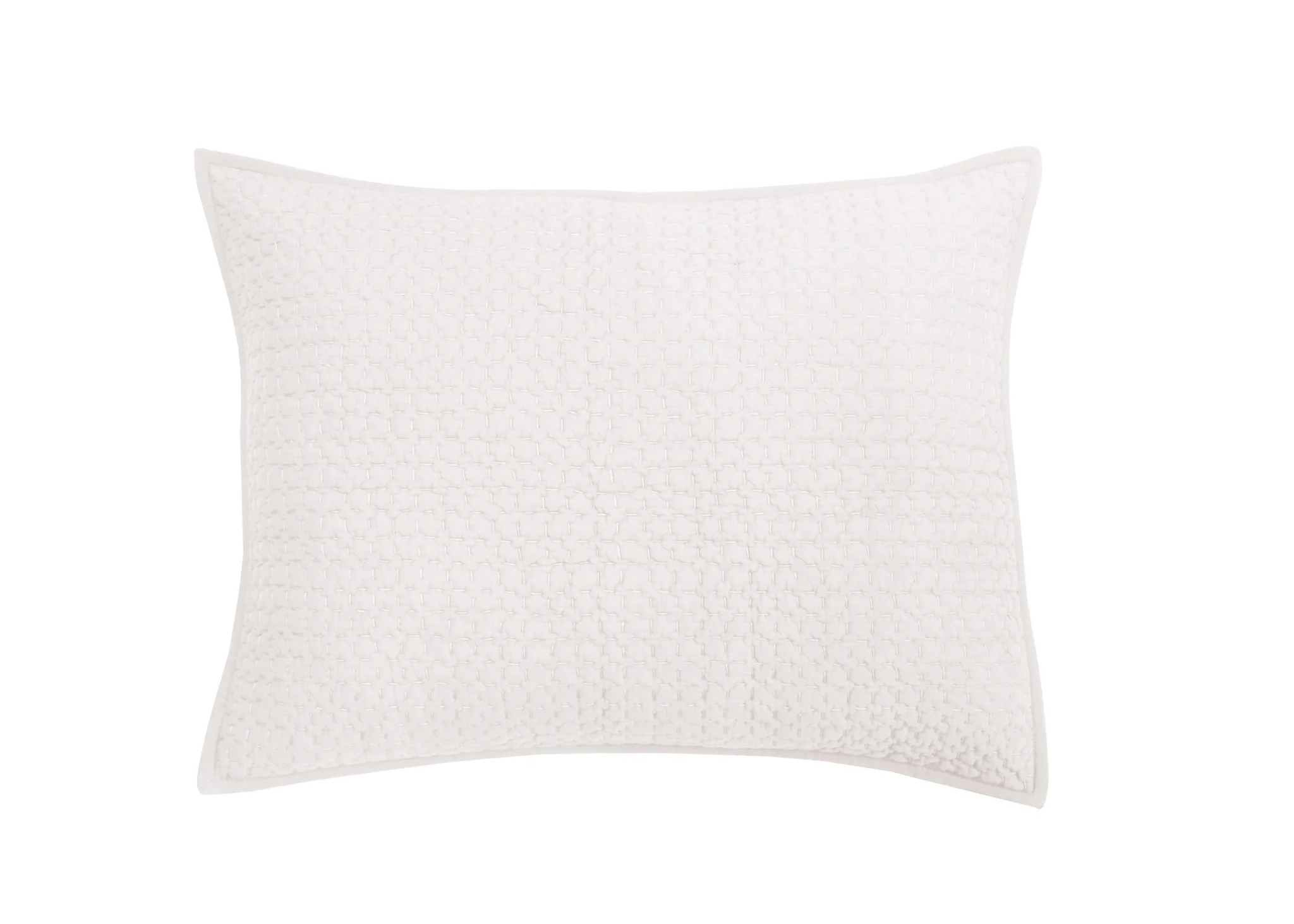 BRIELLE DUTCH EURO SHAM SOFT SILVER