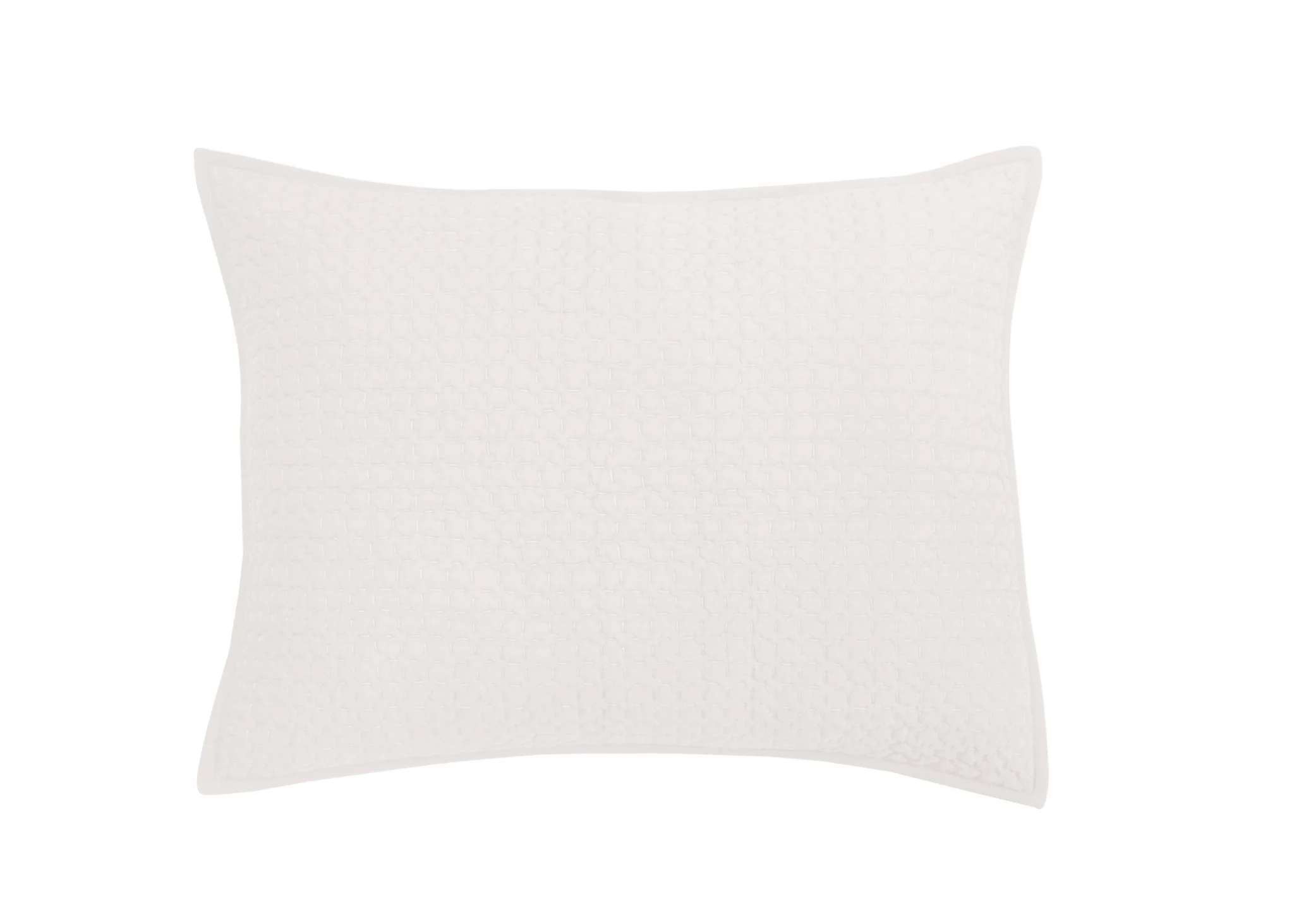 BRIELLE KING SHAM SOFT SILVER