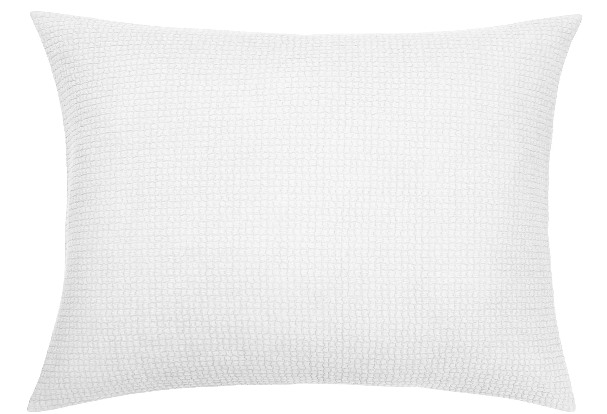 HALE STANDARD SHAM WHITE