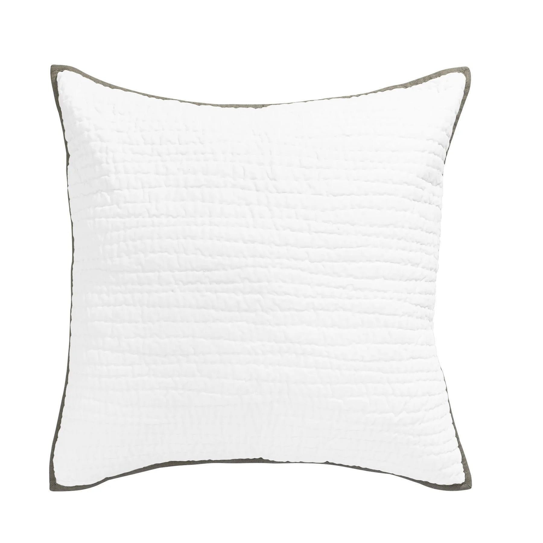 TAYLOR EURO SHAM WHITE